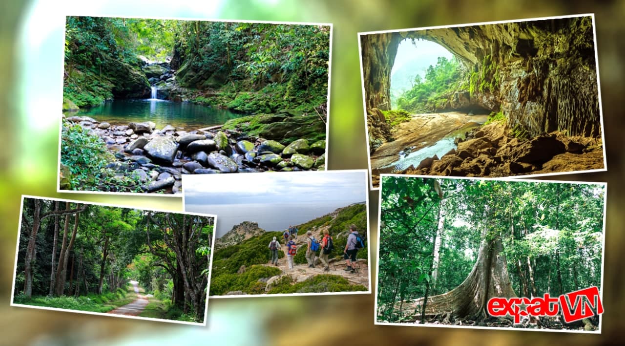 Nature Parks in Vietnam