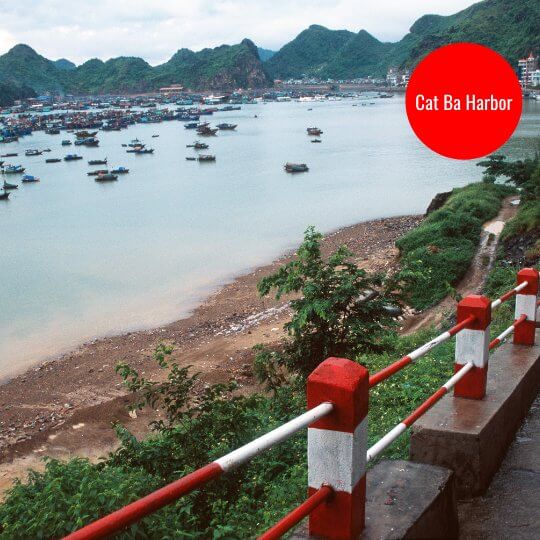 Cat Ba Harbor in Vietnam