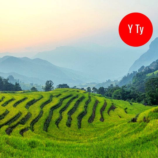Y Ty, Vietnam